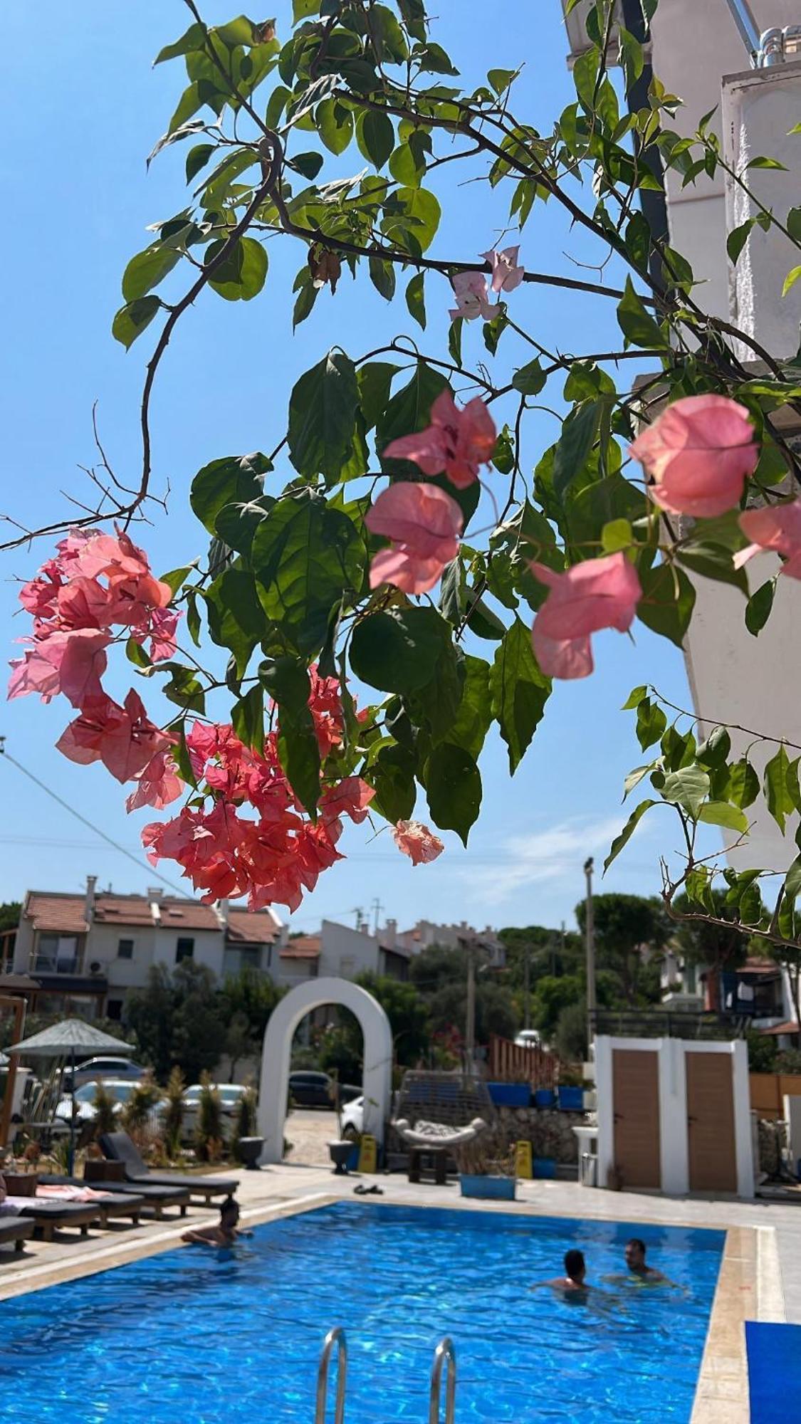 Belong Butik Otel Çeşme Esterno foto