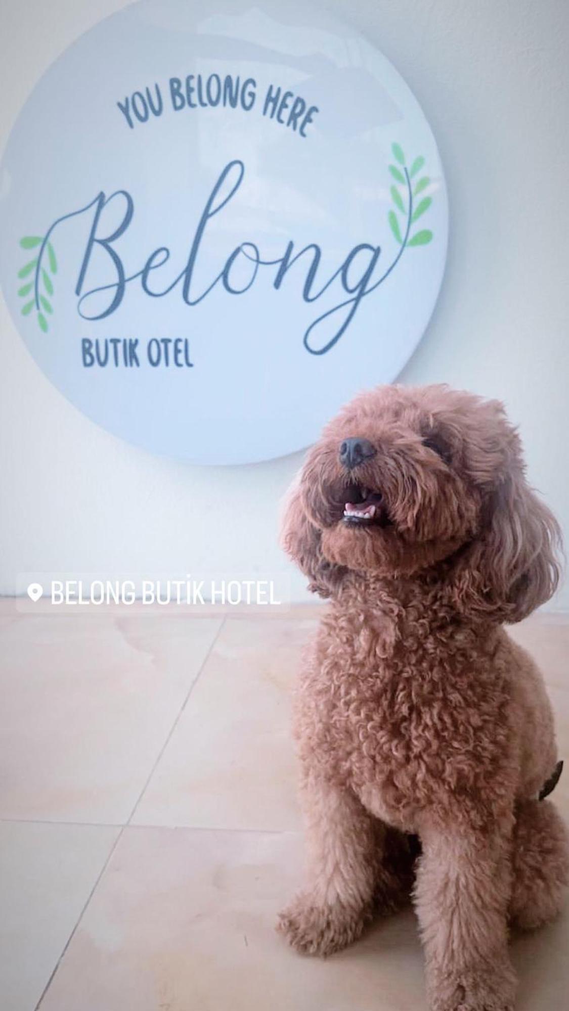 Belong Butik Otel Çeşme Esterno foto