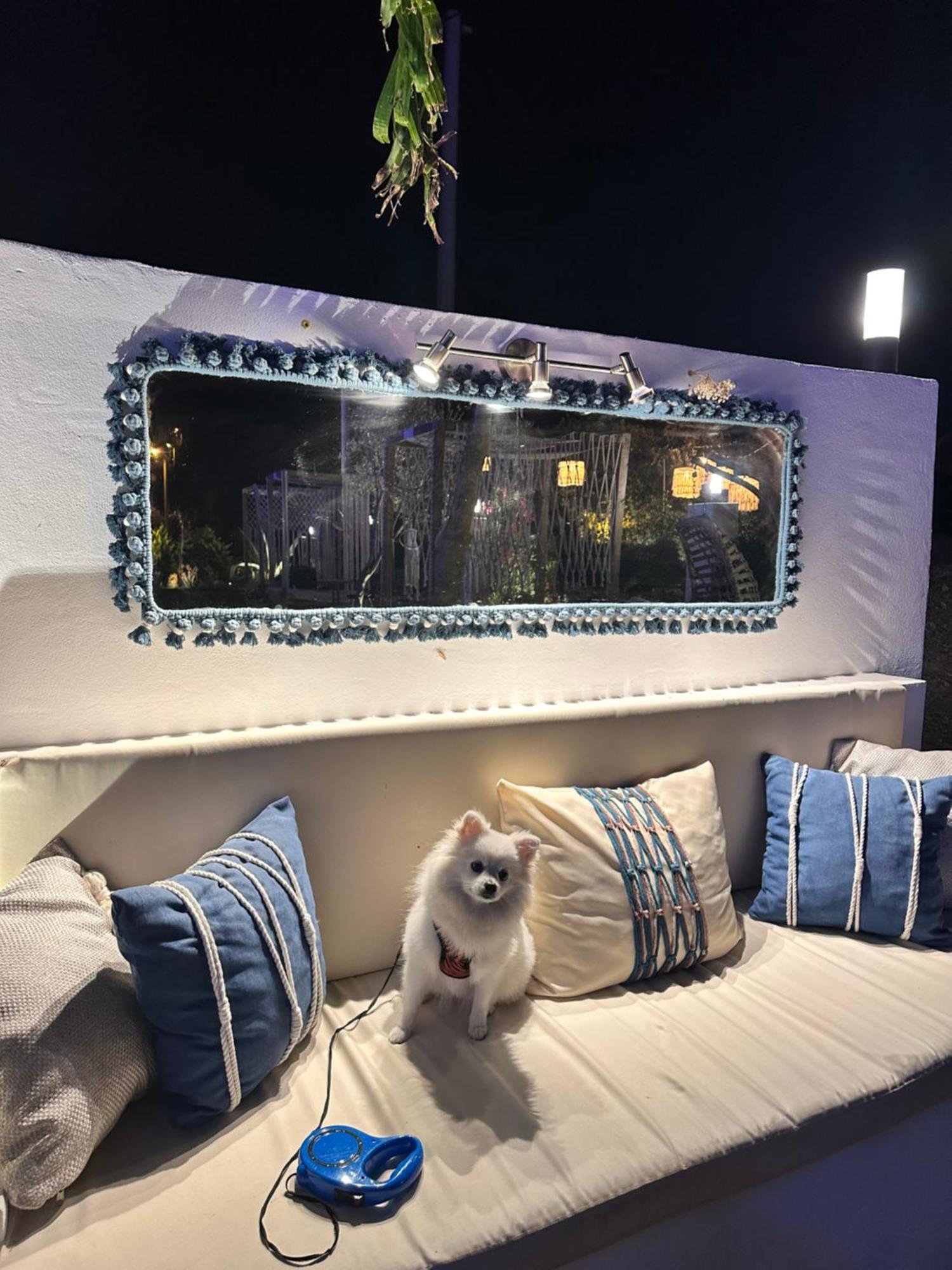 Belong Butik Otel Çeşme Esterno foto